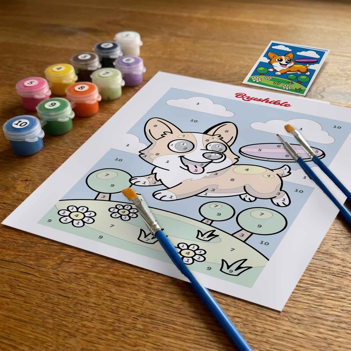 Corgi Catch paint by numbers kit seen from a low angle: the printed sheet, numbered paint pots and three brushes