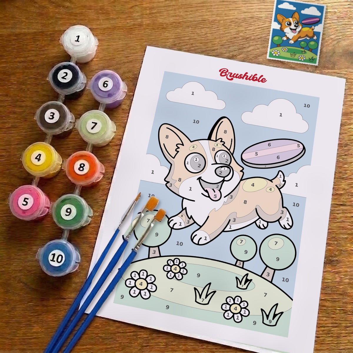 Corgi Catch paint by numbers kit laid out on a wooden table: printed numbered sheet, ten numbered paint pots, three brushes and the finished picture card
